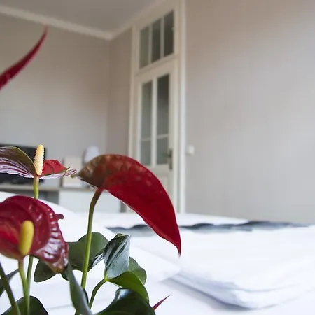 Apartmán Designer Loft At Stodolní Street